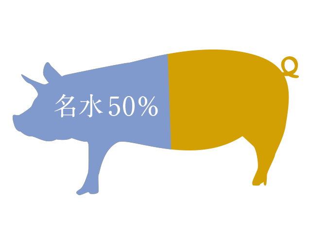 豚の体内の50％以上は水分